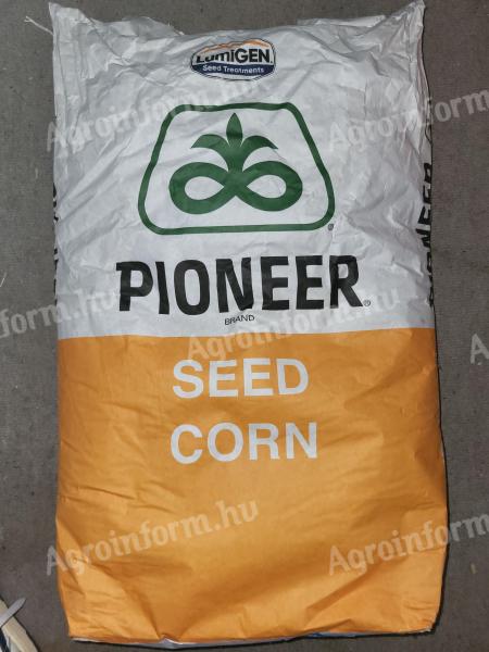 Pioneer kukorica vetőmag eladó – 9610 fajta, 2024-es, 80 ezer szemes