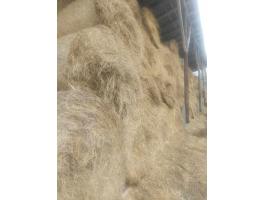 Lucerna, zabszalma, búzaszalma, széna eladó