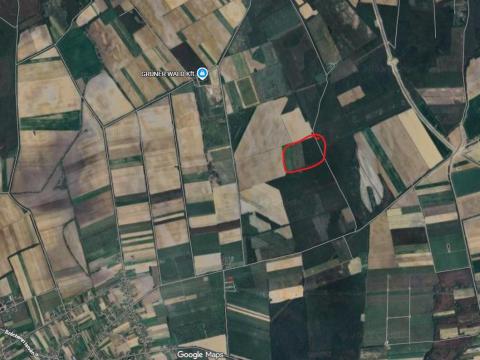 Kiadó VAGY eladó Szántóföld