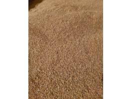 Eladó 100 mázsa búza 10 000 Ft/mázsa áron