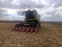 Geringhoff Mais Star Horizon 600F, 6 soros kukorica adapter eladó