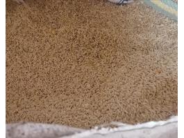 Őszi árpa, búza eladó