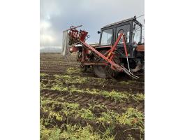 Simon P3S Sárgarépa betakarító gép