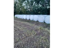 Csomagolt rozs körbála