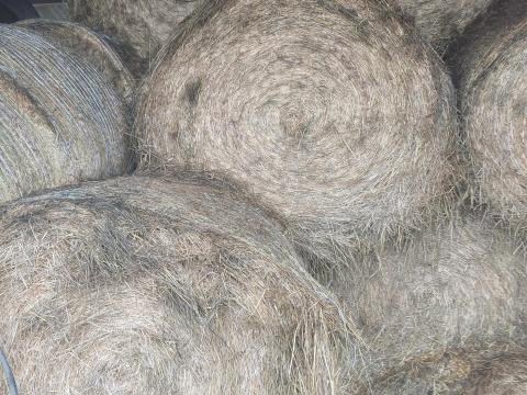 Nagy mennyiségű széna
