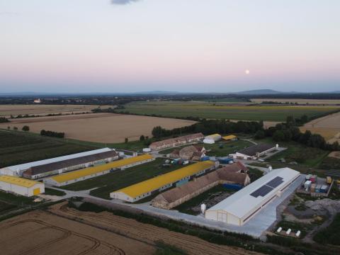 Szárnyasok tartására alkalmas, működő telep eladó Nyugat-Dunántúlon Szárnyasok tartására alkalmas, működő telep eladó Nyugat-Dunántúlon