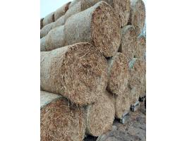 Szemes cirok körbála,  kukorica szár kóró 150cm