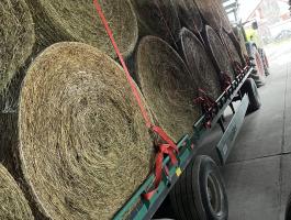 Eladó füves lucerna bála – 26 db