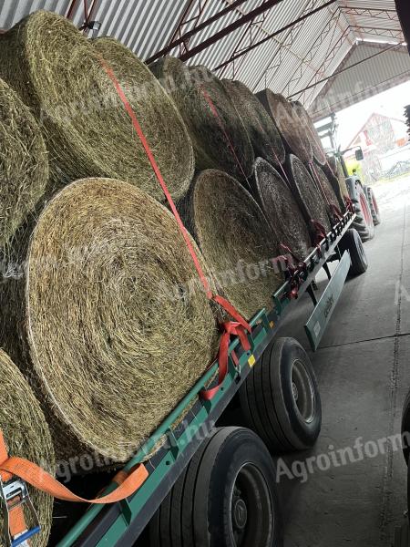 Eladó füves lucerna bála – 26 db