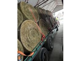 Eladó füves lucerna bála – 26 db