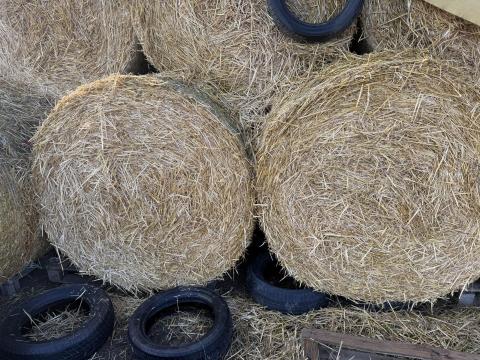 Szalma bála Szalma bála