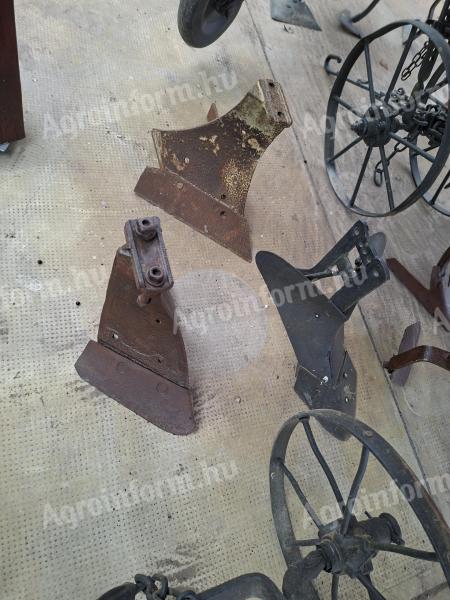 Eketestek,  eke fejek