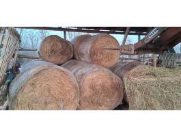 Eladó jó minőségű széna Vácszentlászlón