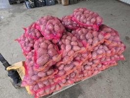 Balatoni rózsa burgonya eladó, termelőtől.