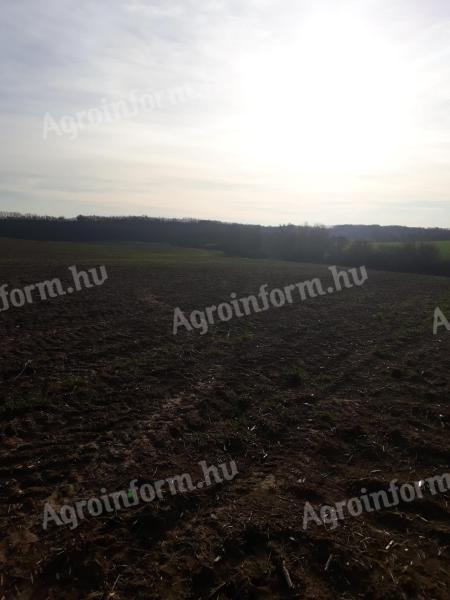 Eladó termőföld Somogy megyében fejlesztési lehetőséggel