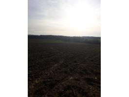 Eladó termőföld Somogy megyében, fejlesztési lehetőséggel