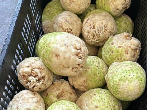 Zellergumó eladó – I. osztályú, magyar termék