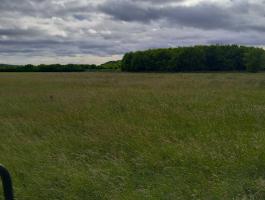 Kaszálót bérelnék