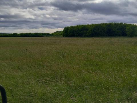 Kaszálót bérelnék