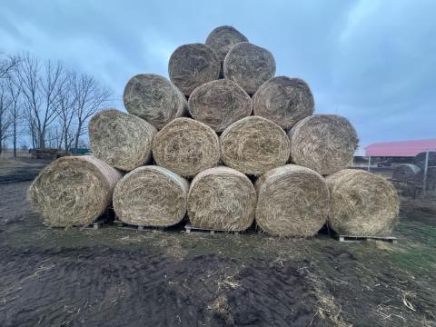Széna bála eladó