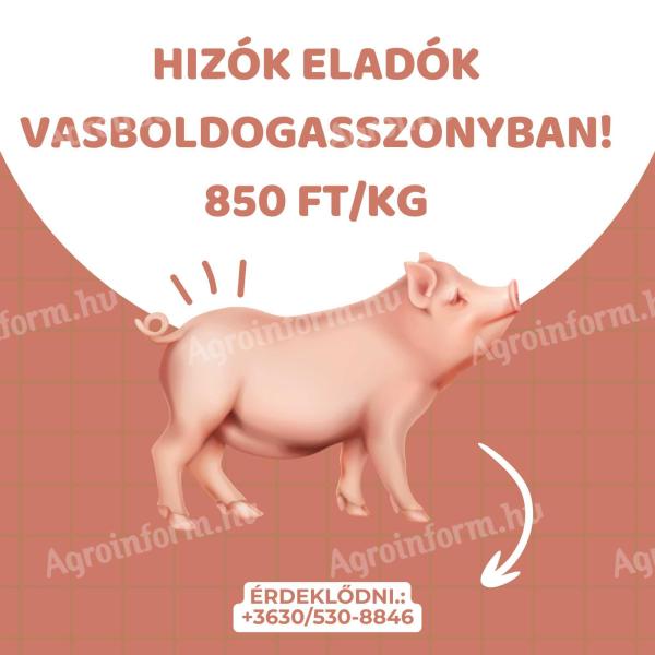 Hizók eladók Vasboldogasszonyban