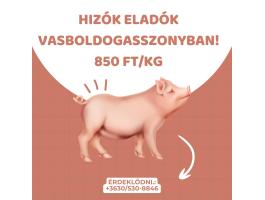 Hizók eladók Vasboldogasszonyban