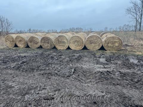 Széna bála eladó