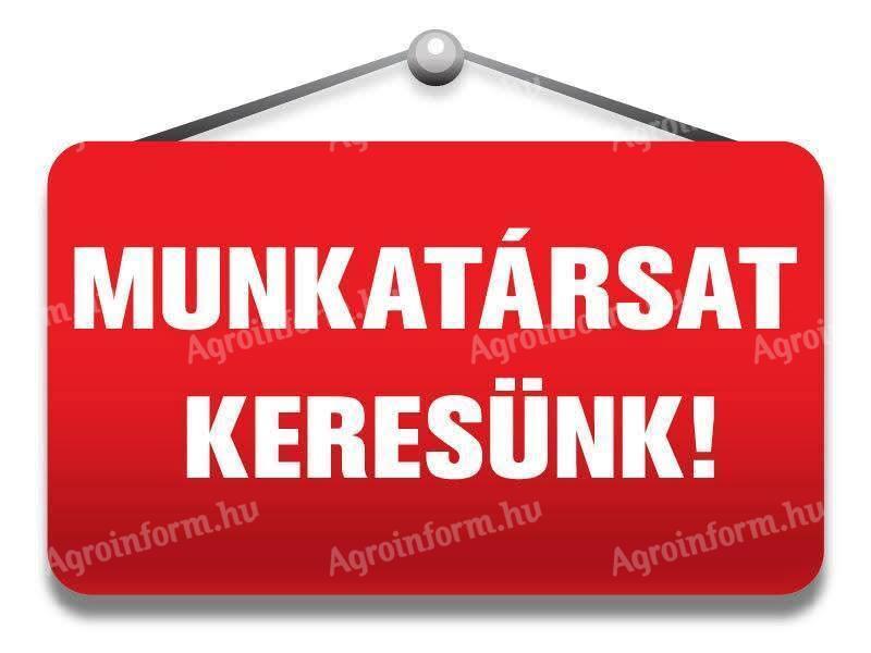 Állatgondozó munkatársat keresünk ( pályakezdőt is)szarvasmarha telepre