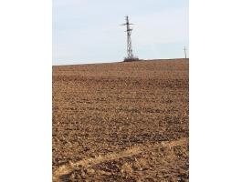 Eladó termőföld Somogy megyében