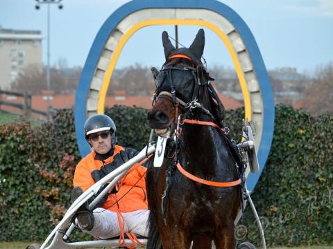 Lovász állás bentlakással Dunaharaszti közelében