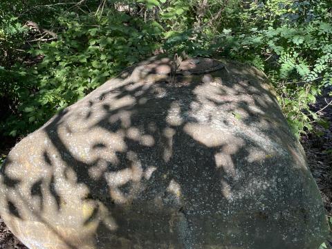 Műanyag tartályok eladók