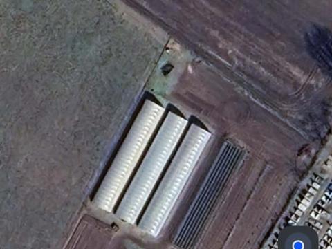 Kecskeméten szántó és hajtatott kertészet eladó/ kiadó