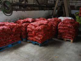 Étkezési burgonya eladó Lunarosa 15 kg-os kiszerelésben