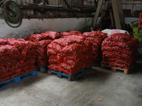 Étkezési burgonya eladó Lunarosa 15 kg-os kiszerelésben