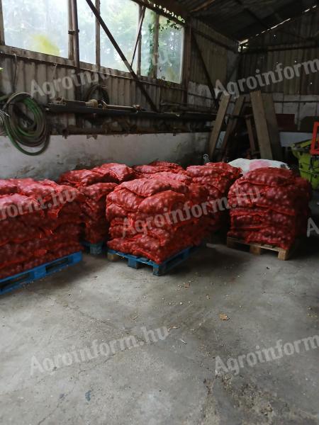 Étkezési burgonya eladó Lunarosa 15 kg-os kiszerelésben