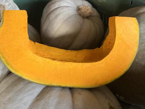 Téli parázs,  nagydobosi sütőtök