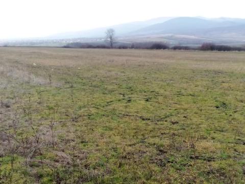 Ültetvény telepítésére alkalmas földterület eladó Kisnánán