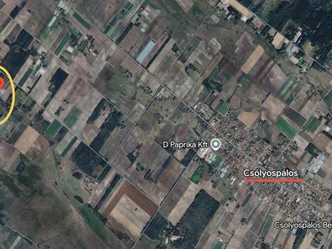 Eladó gazdálkodásra kiválóan alkalmas tanya Csólyospáloson