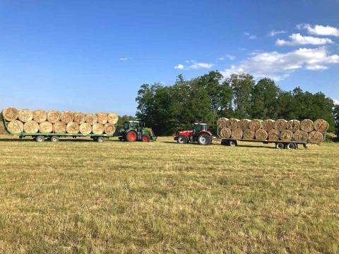 Szálastakarmány készítés,  szállítás