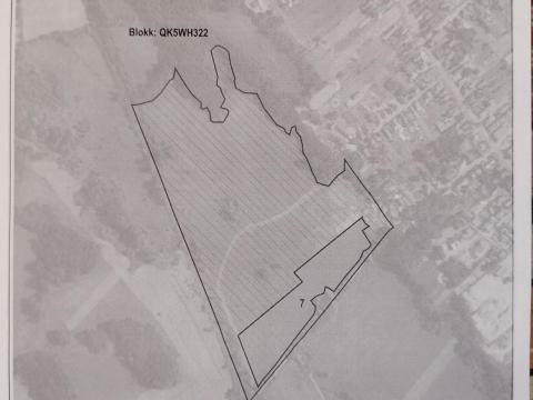 Lótartásra alkalmas terület kiadó