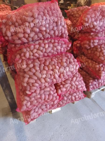 Vetőméretű korai burgonya, Esmee fajta eladó