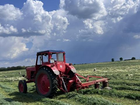 Rk 165 kasza Rk 165 kasza