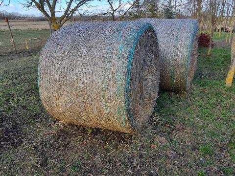 Szalmabálák eladók