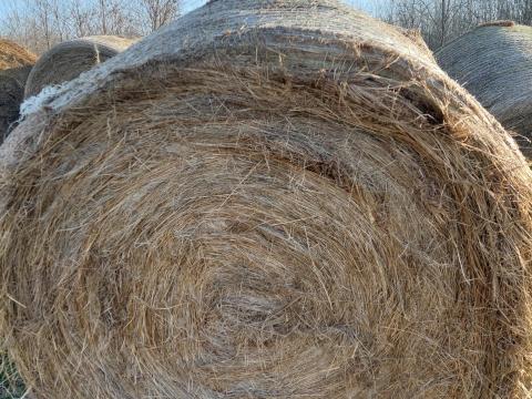 Széna eladó – jó minőségű, 150-es tömör bálák Széna eladó – jó minőségű, 150-es tömör bálák