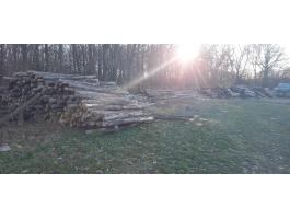 Akác oszlop -Akác rönk