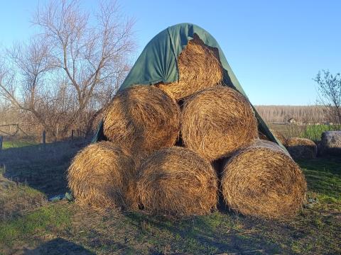 Búzaszalma, árpaszalma eladó