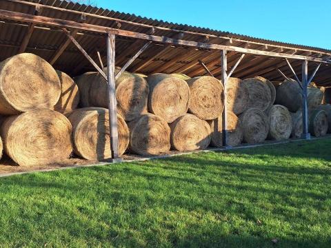 Tető alatt tárolt széna eladó