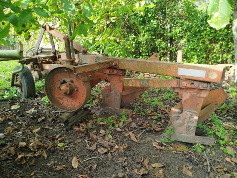 Eke eladó,  több darab