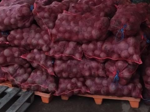 Cékla eladó Cékla eladó