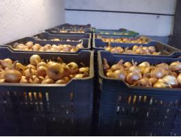 Vöröshagyma és lilahagyma eladó